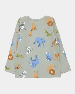 Baby Boys Pyjamas - Pack Of 2 (6 Months-4 Years)