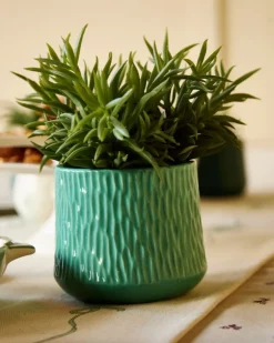 Carolyn Donnelly Eclectic Plant In Patterned Pot