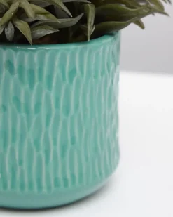 Carolyn Donnelly Eclectic Plant In Patterned Pot