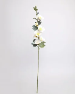 Cotton Rose Stem