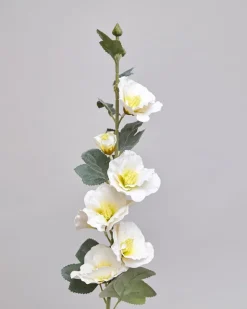 Cotton Rose Stem