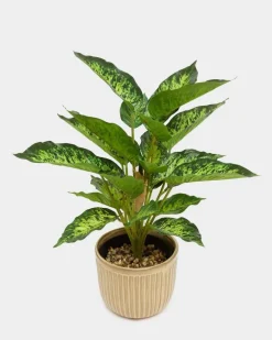 Fashion Planter Pot