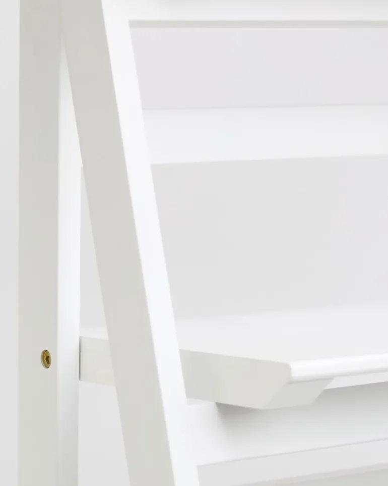 Foldable Ladder Shelf
