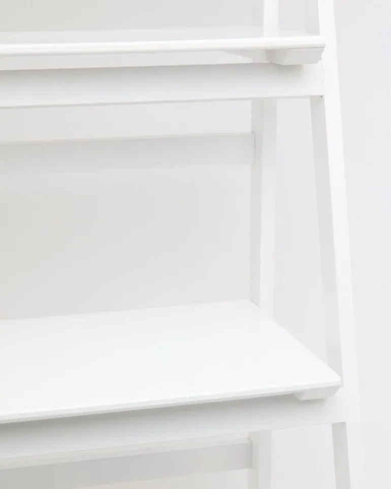 Foldable Ladder Shelf