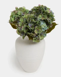 Green Hydrangea