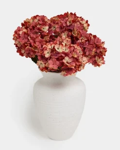 Hydrangea Stem