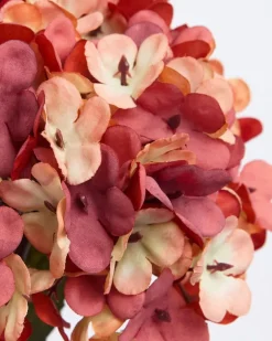 Hydrangea Stem