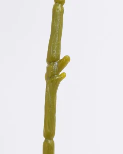 Hydrangea Stem