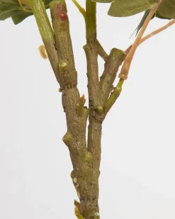 Multi Peony Stem