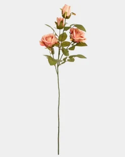 Multi Rose Stem