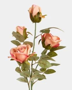 Multi Rose Stem