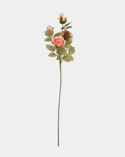 Multi Rose Stem