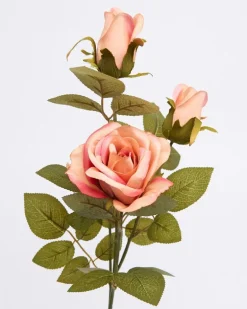 Multi Rose Stem