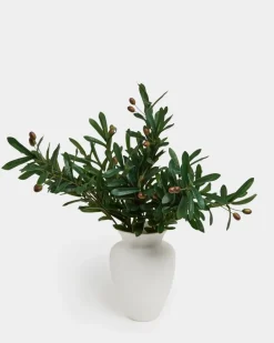 Olive Spray