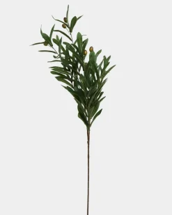 Olive Spray