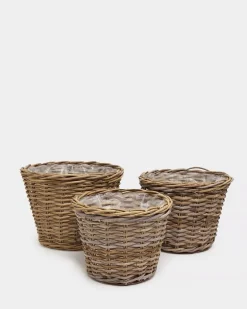 Paul Costelloe Living Laura Planter