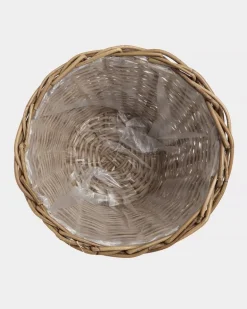 Paul Costelloe Living Laura Planter