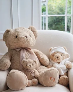 Paul Costelloe Living Robe Bear