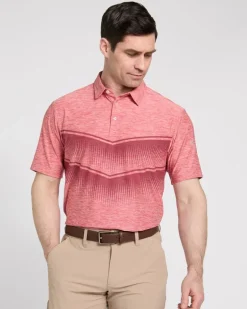 Pádraig Harrington Chest Print Polo Shirt