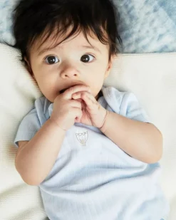 Pure Cotton Bodysuits - Pack Of 5 (Newborn-23 Months)