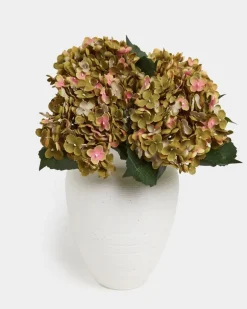 Single Hydrangea