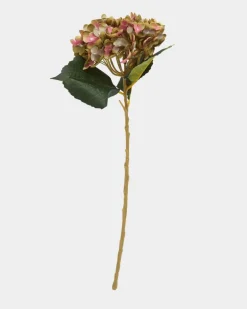 Single Hydrangea