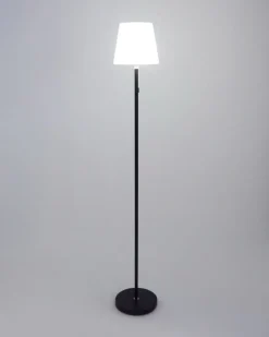 Standing Solar Lamp