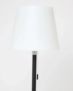 Standing Solar Lamp
