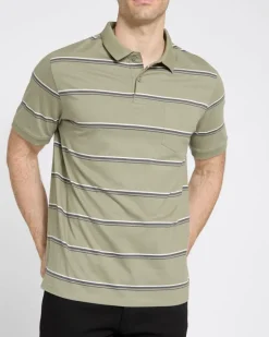 Striped Polo Shirt