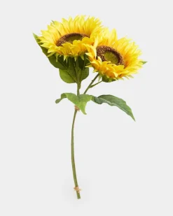 Sunflowers - Pack Of 2