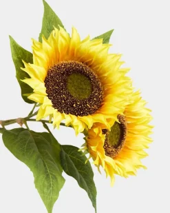 Sunflowers - Pack Of 2