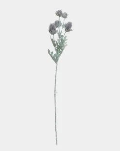 Thistle Spray