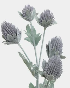 Thistle Spray
