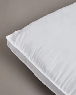 Velvet Touch Pillow - Pack Of 2